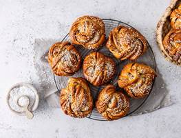 Kanelknute
